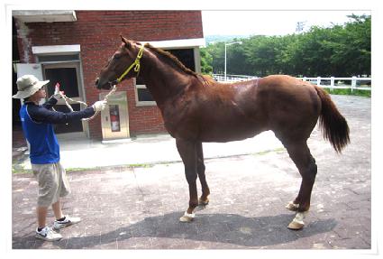 Ʈ��Ʈ���� ����