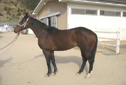 ��ġ ����