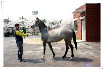 �ǹ�ũ��� (SILVER CROWN) ����