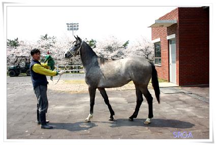 �ǹ�ũ��� ����