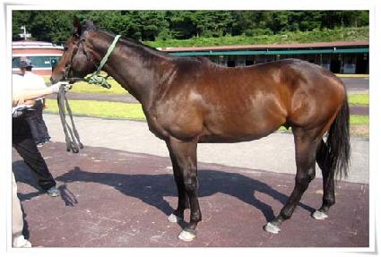 ����Ʈ�� ����