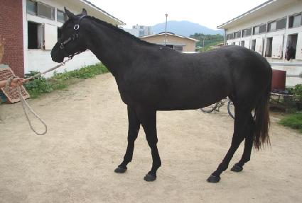 Ȳ�ݰ��� ����