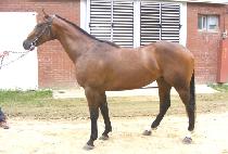 ���� (HAENGUN GASOK) ����