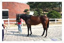 ��ġ�ٿ� (TOUCHDOWN) ����