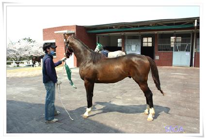 �ʿ����� ����