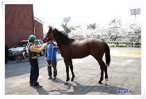 ���ص庣��Ʈ (NEW AND BEST) ����