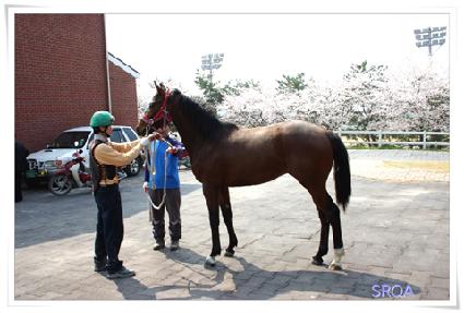 ���ص庣��Ʈ ����