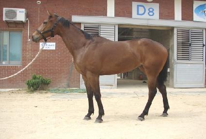 ���̵�è�Ǿ� ����