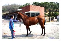 �б� (APGWON) ����