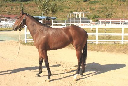 ����ũ�Ҹ� ����