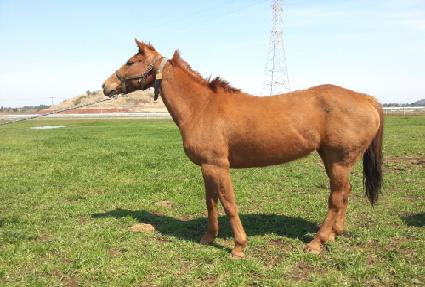 ���ѻ꼺 ����