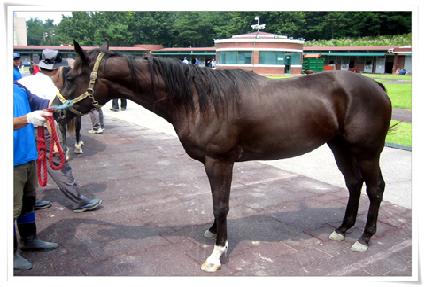 ���¸� ����