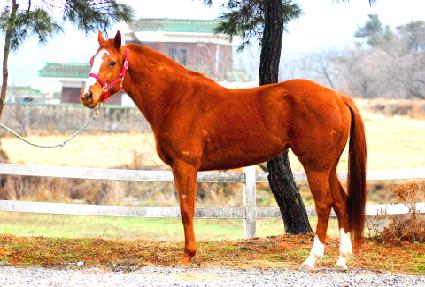 ç�������� ����