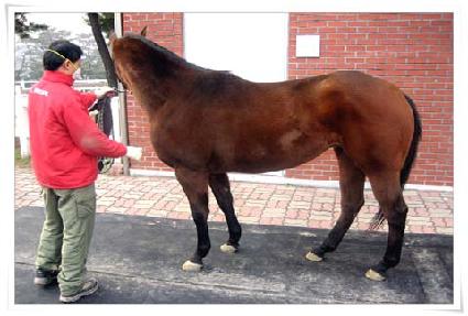 �����巹�̵� ����