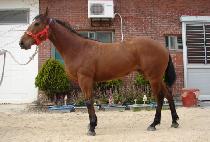 ��������̽� (SPECIAL CHOICE) ����