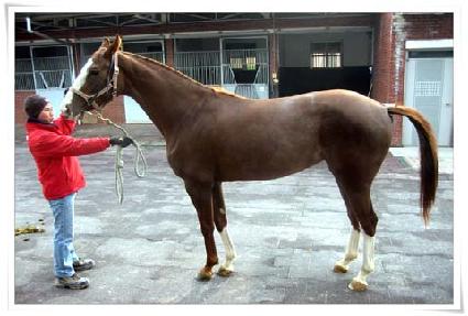 ���̳��� ����