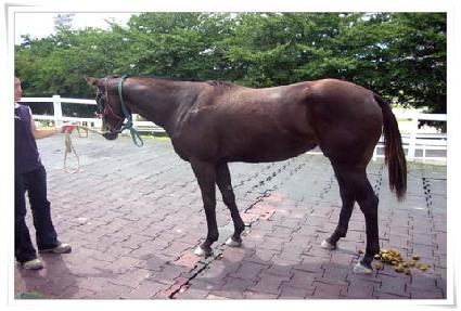 ���� ����