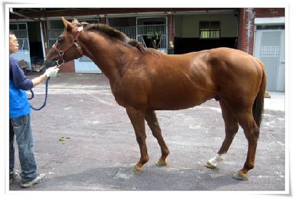 ���ξ���� ����