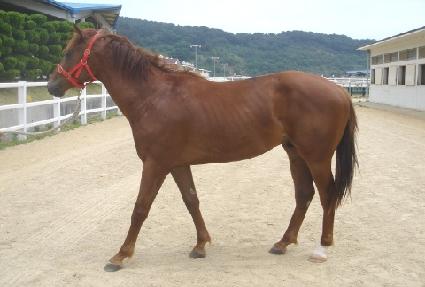 ������� ����