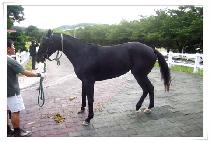 �����ſ� (EUNBITGEOUL) ����