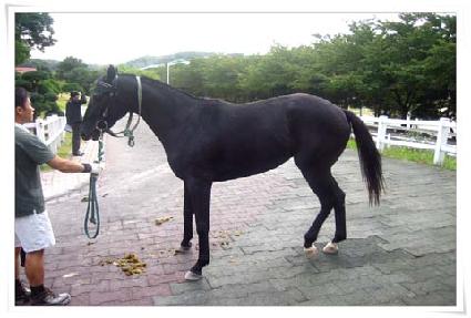 �����ſ� ����