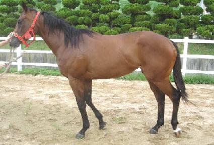 �Ӵ�Ʈ�� ����