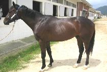 ���æƮ (B.B.CHANT) ����