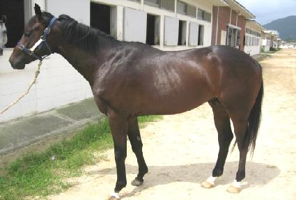 ���æƮ ����