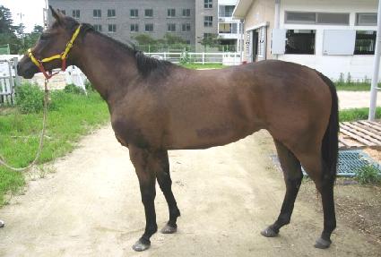 ����̷� ����