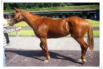 õ����� (CHEONHAJANGSA) ����