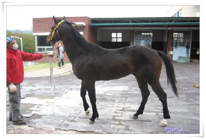 �Ż� ����