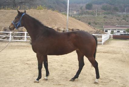 ����Ŭ�� ����