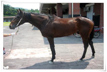 ����ġ�� ����