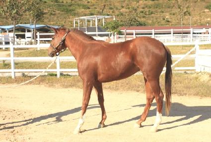 ���縶��ƾ ����