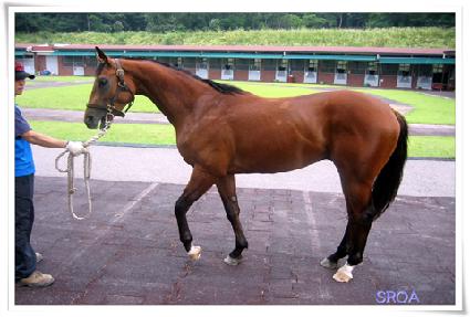 ������ ����