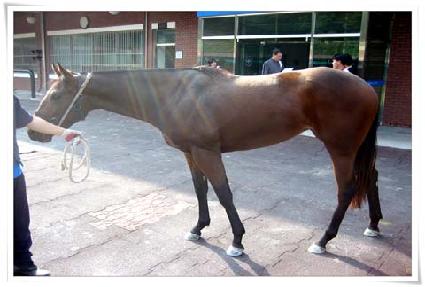 ��õ������ ����