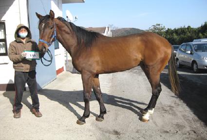 ������¡ ����