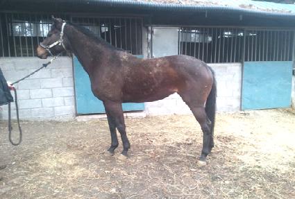 ���������� ����