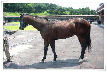 ��ȵ��� ����