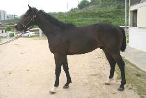 ���κ�ġ (RAIN BEACH) ����