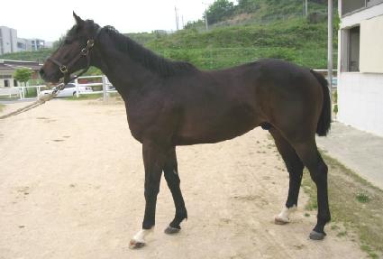 ���κ�ġ ����