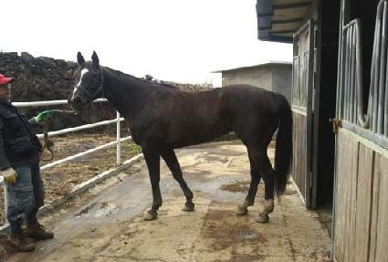 �������� ����