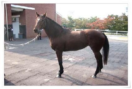 ������ ����