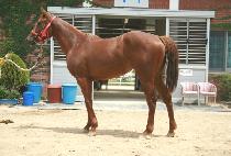 ����÷��� (SANBANG PLUS) ����