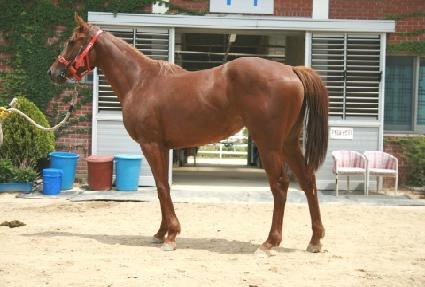 ����÷��� ����