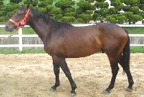 �ƽ��κ��� (MAX IN BLUE) ����