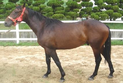 �ƽ��κ��� ����