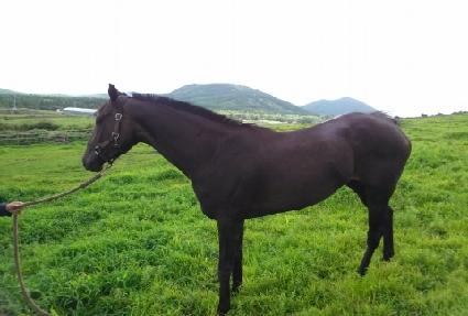 ������ ����