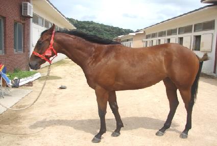 �Ǿ�Ÿ�� ����