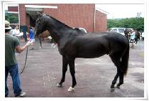 ���ؾ�ħ (SEOHAEACHIM) ����